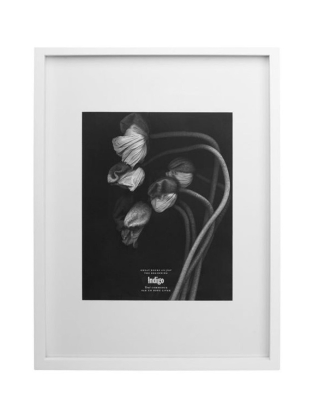 NWOT Indigo Large White Gallery Frame with Matte